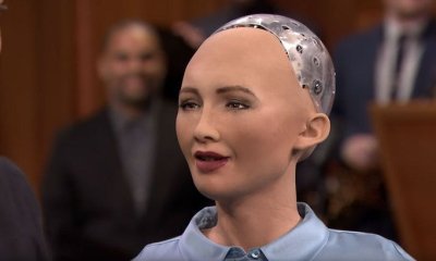 Реакция человека-робота на вопрос о коррупции